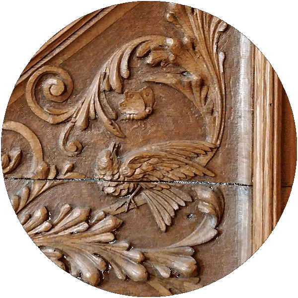 A bird looks up at a butterfly