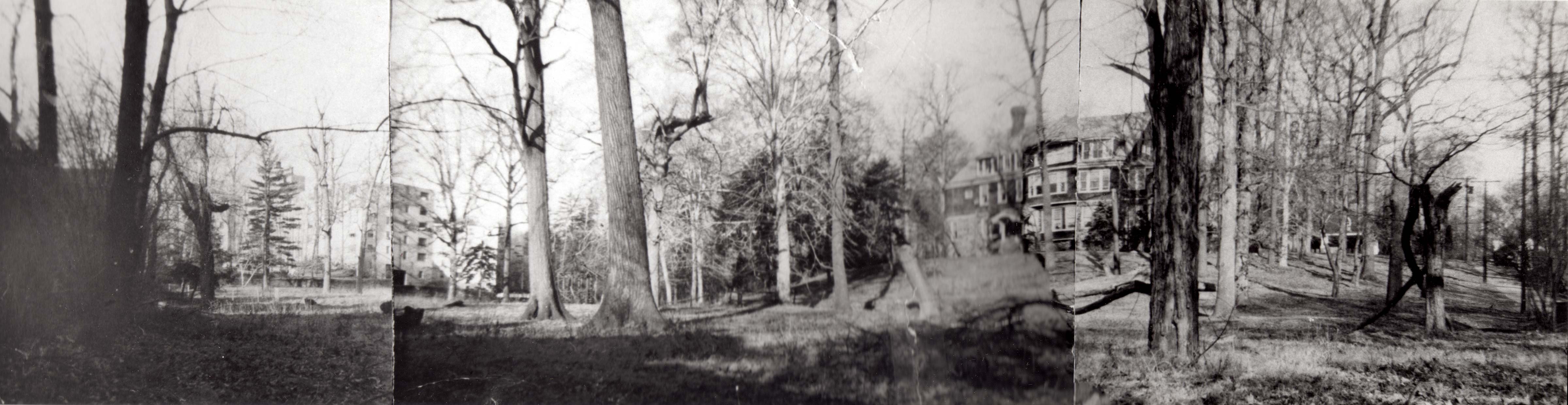 wide view of a lot with tall trees on rising ground, large house on the hilltop.