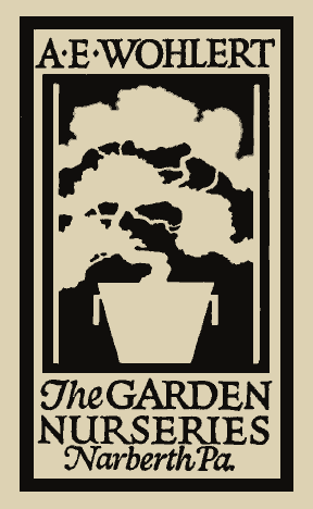 woodcut of bonsai tree in pot